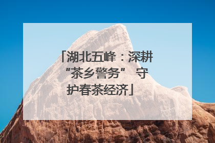湖北五峰：深耕“茶乡警务” 守护春茶经济