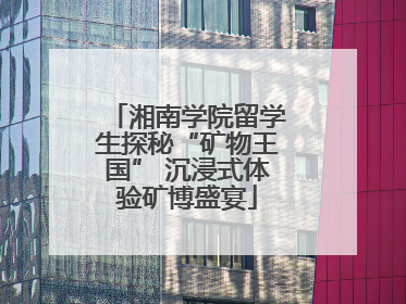 湘南学院留学生探秘“矿物王国” 沉浸式体验矿博盛宴