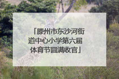 滕州市东沙河街道中心小学第六届体育节圆满收官