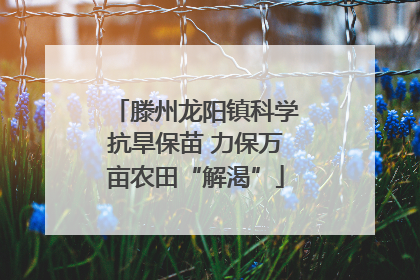 滕州龙阳镇科学抗旱保苗 力保万亩农田“解渴”