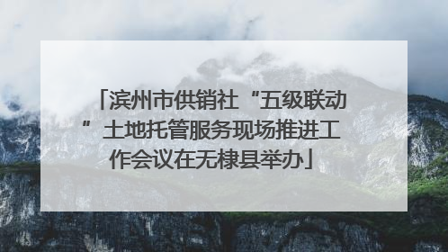 滨州市供销社“五级联动”土地托管服务现场推进工作会议在无棣县举办