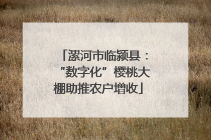 漯河市临颍县：“数字化”樱桃大棚助推农户增收