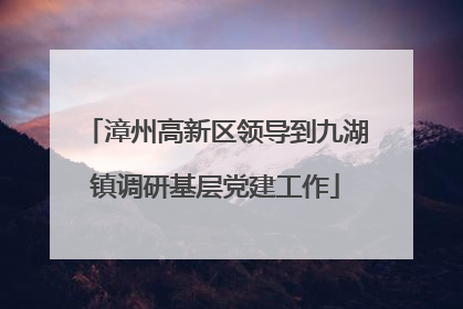 漳州高新区领导到九湖镇调研基层党建工作