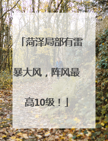 菏泽局部有雷暴大风，阵风最高10级！