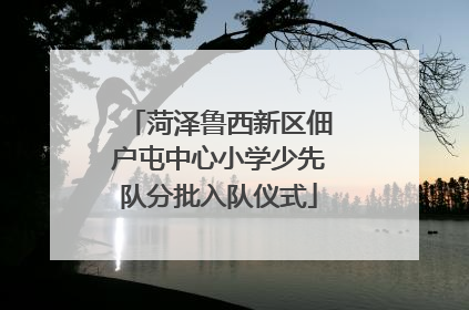 菏泽鲁西新区佃户屯中心小学少先队分批入队仪式