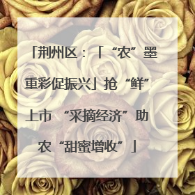 荆州区：「“农”墨重彩促振兴」抢“鲜”上市 “采摘经济”助农“甜蜜增收”