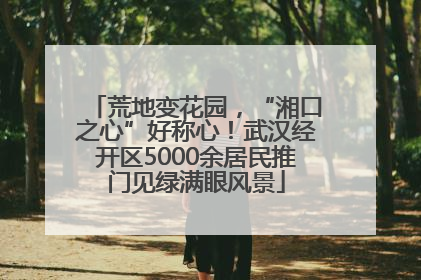 荒地变花园，“湘口之心”好称心！武汉经开区5000余居民推门见绿满眼风景