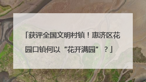 获评全国文明村镇！惠济区花园口镇何以“花开满园”？
