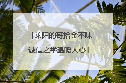 莱阳的哥拾金不昧 诚信之举温暖人心