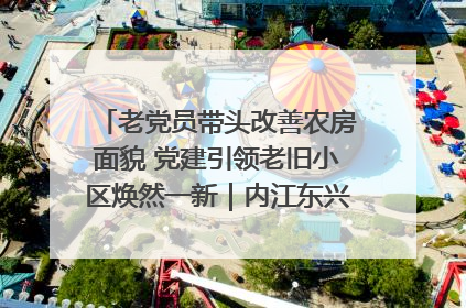 老党员带头改善农房面貌 党建引领老旧小区焕然一新｜内江东兴“红”在哪？④
