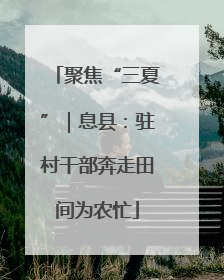 聚焦“三夏”｜息县：驻村干部奔走田间为农忙