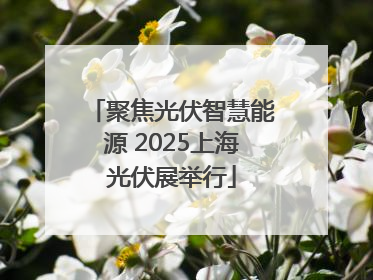 聚焦光伏智慧能源 2025上海光伏展举行