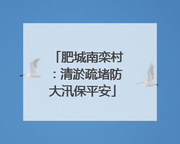 肥城南栾村：清淤疏堵防大汛保平安