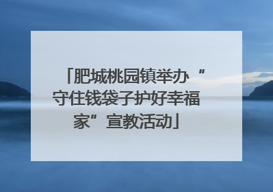 肥城桃园镇举办“守住钱袋子护好幸福家”宣教活动