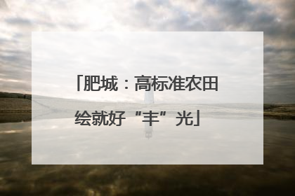 肥城：高标准农田绘就好“丰”光