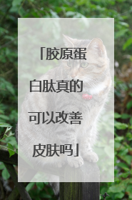 胶原蛋白肽真的可以改善皮肤吗