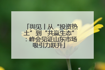 舆见丨从“投资热土”到“共赢生态”：峰会见证山东市场吸引力跃升
