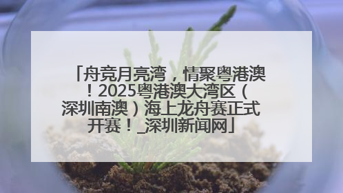 舟竞月亮湾，情聚粤港澳！2025粤港澳大湾区（深圳南澳）海上龙舟赛正式开赛！_深圳新闻网