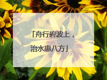 舟行碧波上，治水惠八方