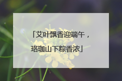 艾叶飘香迎端午，珞珈山下粽香浓