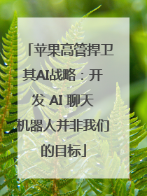 苹果高管捍卫其AI战略：开发 AI 聊天机器人并非我们的目标