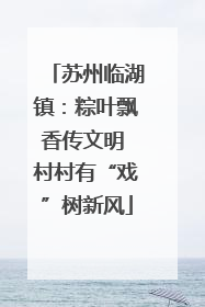 苏州临湖镇:粽叶飘香传文明 村村有“戏”树新风