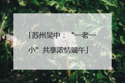 苏州吴中：“一老一小”共享浓情端午