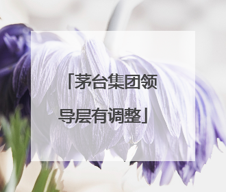 茅台集团领导层有调整