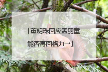 董明珠回应孟羽童能否再回格力→