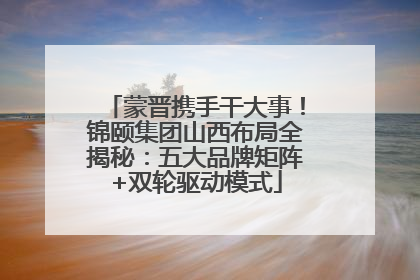 蒙晋携手干大事！锦颐集团山西布局全揭秘：五大品牌矩阵+双轮驱动模式