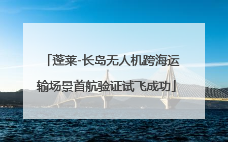蓬莱-长岛无人机跨海运输场景首航验证试飞成功