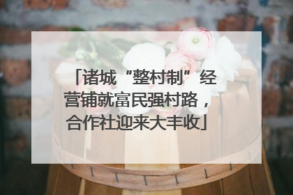 诸城“整村制”经营铺就富民强村路，合作社迎来大丰收