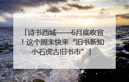 诗书西城——6月底收官！这个周末快来“旧书新知·小石虎古旧书市”