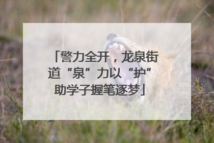 警力全开，龙泉街道“泉”力以“护”助学子握笔逐梦