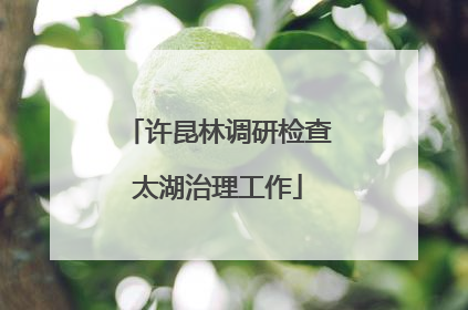 许昆林调研检查太湖治理工作