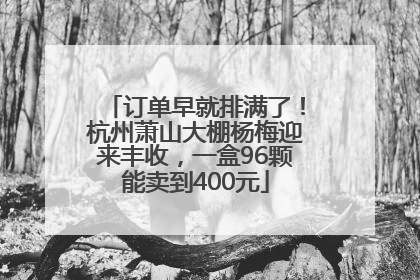 订单早就排满了！杭州萧山大棚杨梅迎来丰收，一盒96颗能卖到400元