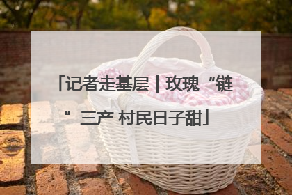 记者走基层｜玫瑰“链”三产 村民日子甜