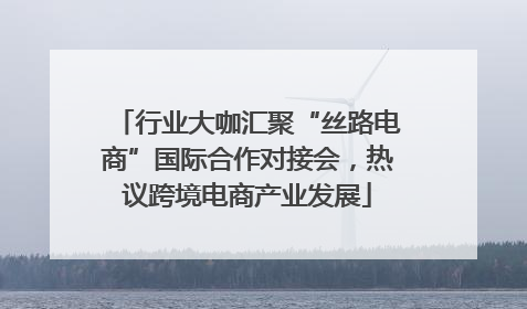 行业大咖汇聚“丝路电商”国际合作对接会，热议跨境电商产业发展