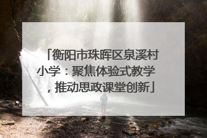 衡阳市珠晖区泉溪村小学：聚焦体验式教学，推动思政课堂创新