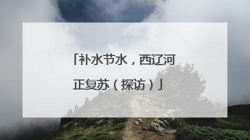 补水节水，西辽河正复苏（探访）