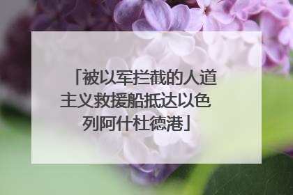 被以军拦截的人道主义救援船抵达以色列阿什杜德港