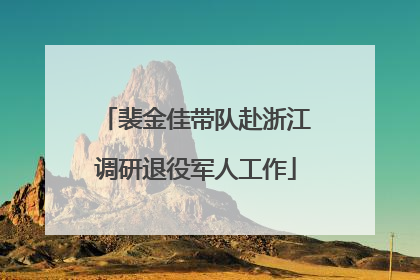 裴金佳带队赴浙江调研退役军人工作
