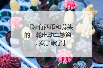 装有西瓜和蒜头的三轮电动车被盗，案子破了