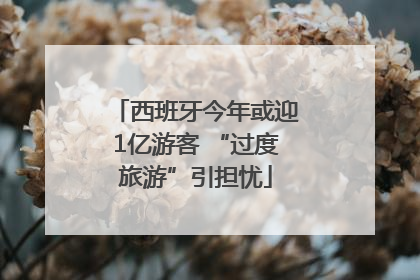 西班牙今年或迎1亿游客 “过度旅游”引担忧