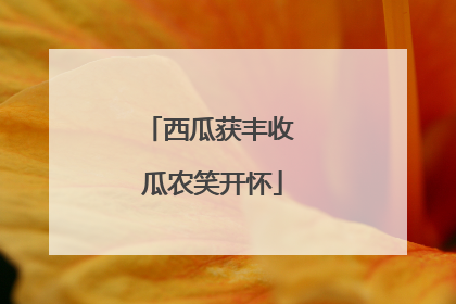 西瓜获丰收 瓜农笑开怀