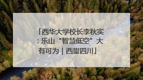 西华大学校长李秋实：乐山“智慧低空”大有可为｜西望四川