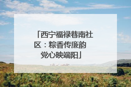 西宁福禄巷南社区：粽香传廉韵 党心映端阳
