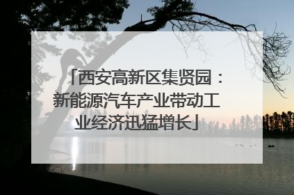 西安高新区集贤园：新能源汽车产业带动工业经济迅猛增长