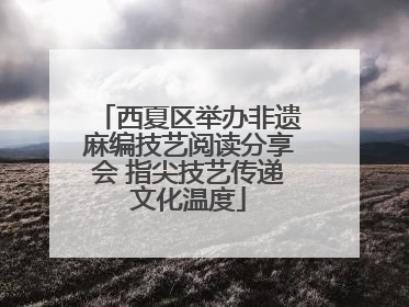 西夏区举办非遗麻编技艺阅读分享会 指尖技艺传递文化温度