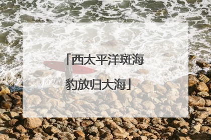 西太平洋斑海豹放归大海